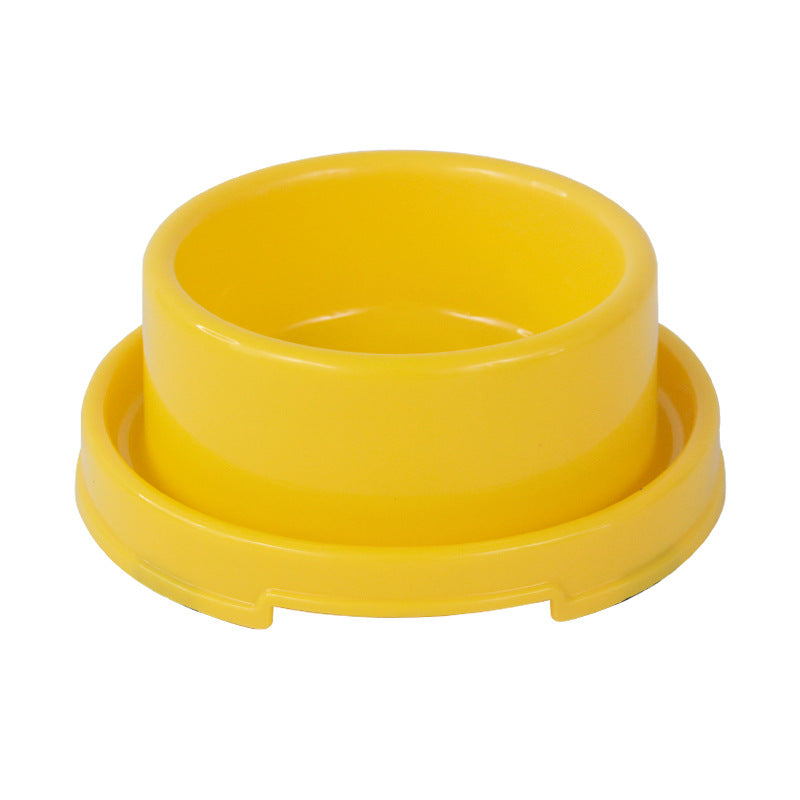 Ant-Proof Round Pet Bowl for Dogs & Cats | The Healthy Dog Co