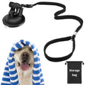 Dog Bathing Tether & Grooming Restraint | The Healthy Dog Co