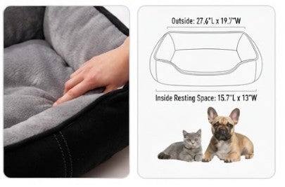 Luxury Sports Car Pet Bed | The Healthy Dog Co