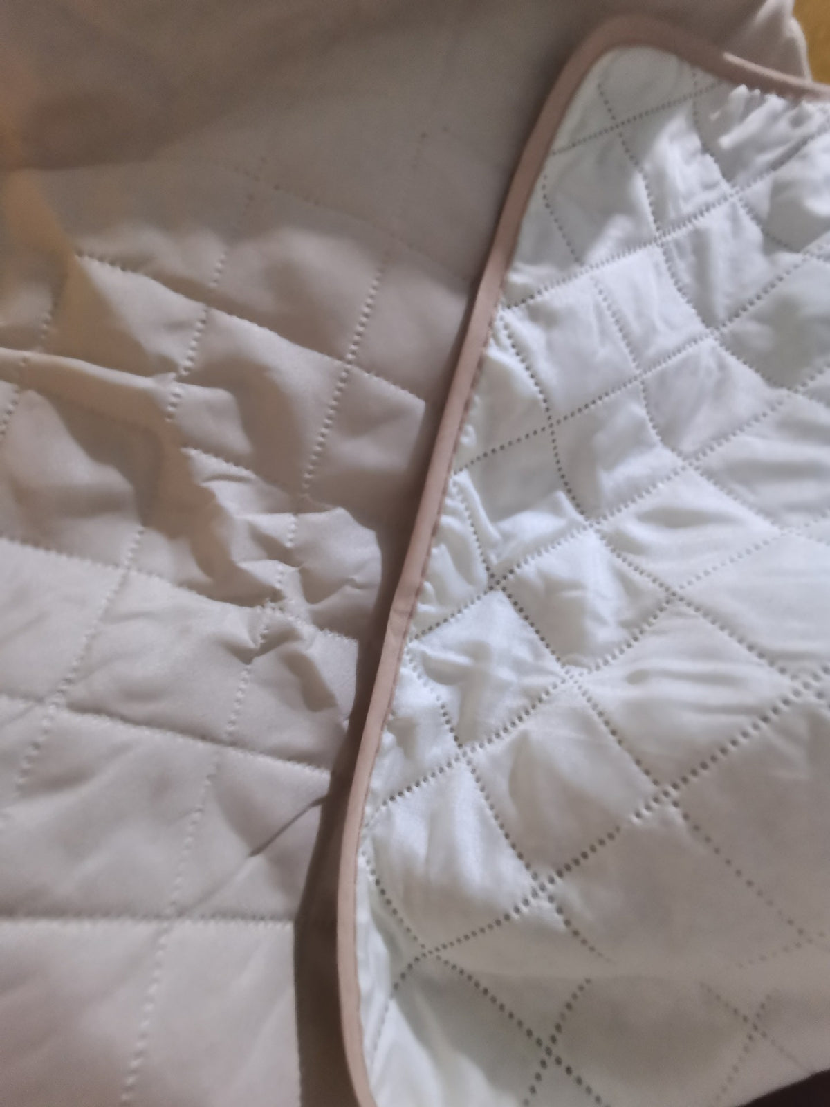 Waterproof Pet Couch Cover & Protector | The Healthy Dog Co