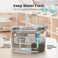 Automatic Water Fountain + 2-Pack Filters Bundle