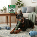 Wheat-Free Dental Chews for Large Dogs | The Healthy Dog Co