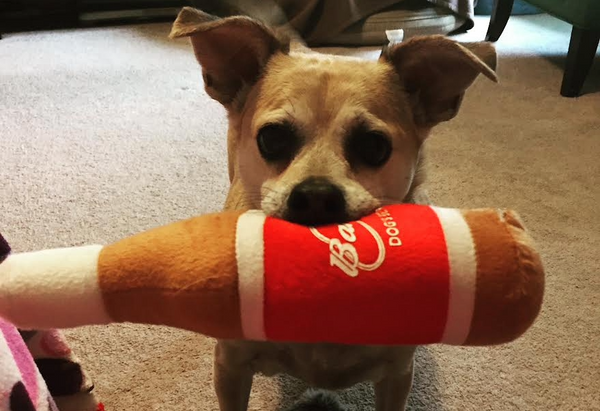Kona
