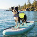 High-Visibility Adventure Life Vest – Durable Buoyancy & Rescue Handle for Active Dogs (Large, Bright Yellow)